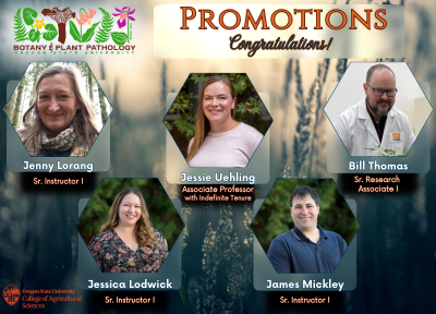 Jenny Lorang, Jessica Lodwick, Jessie Uehling, James Mickley, and Bill Thomas promoted BPP Faculty in 2025