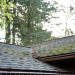 rooftop with moss. credit: Getty Image