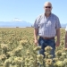 Ken Stout, CEO of Central Oregon Seed, and Jeremiah Dung, an Oregon State University researcher, stand in a Feigner Farms carrot seed field north of Madras on Aug. 13.  (Kyle Odegard/Capital Press)