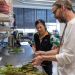 Mana Ohkura (left), director of the OSU Plant Clinic, and Bill Gerth, senior faculty research assistant, discuss a submission.  Credit: Caleb Freeman