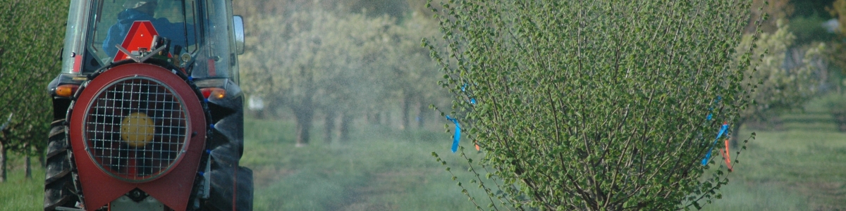 Airblast sprayer and hazelnut tree