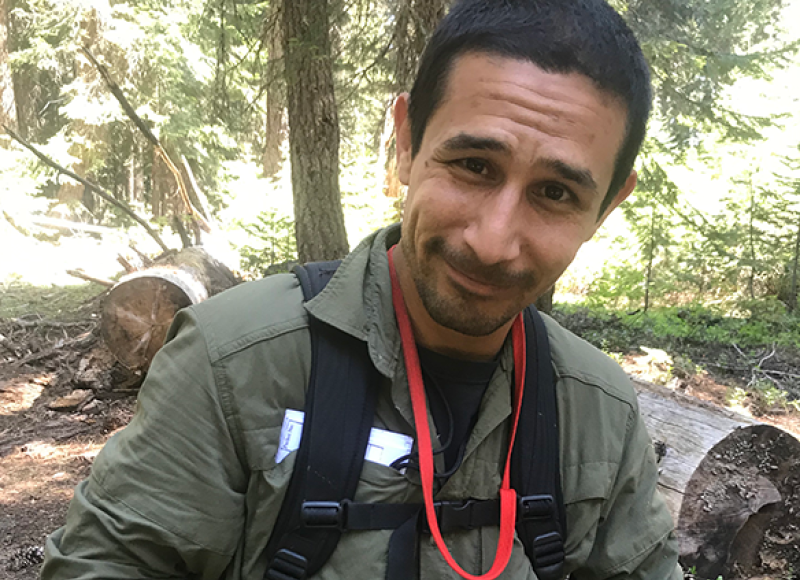 scientist in the forest with mushrooms